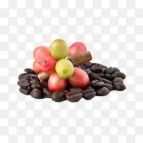 一堆咖啡果和咖啡豆实物-空若网 一堆咖啡果和咖啡豆实物-空若网