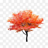 ��-������