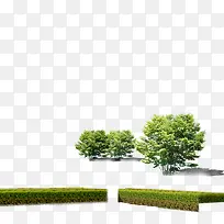 树-空若网 树-空若网