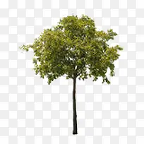 һ����-������