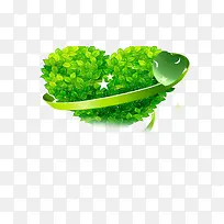 安心树叶-空若网 安心树叶-空若网