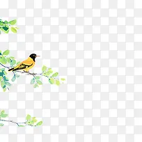 С������ɫ��֦-������