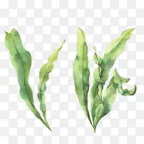 ˮ���ֻ溣��ˮ��-������