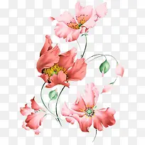 ��欶��˵�ˮ�ʻ�-������