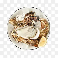 Ұ���������-������