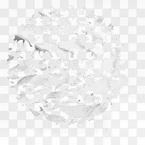 矢量海洋动物和陆地动物-空若网 矢量海洋动物和陆地动物-空若网