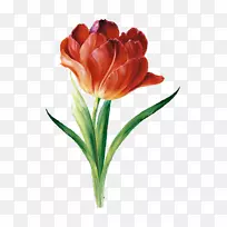 ˮ�ʻ��ѹ����������-������