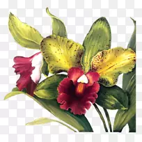 »¨Ö½½âñîͿװ-ÉóºË-¿ÕÈôÍø »¨Ö½½âñîͿװ-ÉóºË-¿ÕÈôÍø