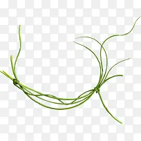 草藤素材图片-空若网 草藤素材图片-空若网