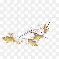 �����ѩ������֦-������