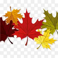 Çï¼¾¸Ð¶÷½Ú·ãҶʸÁ¿ËزÄ-¿ÕÈôÍø Çï¼¾¸Ð¶÷½Ú·ãҶʸÁ¿ËزÄ-¿ÕÈôÍø