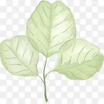 手绘树叶素材-空若网 手绘树叶素材-空若网