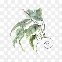 矢量树叶-空若网 矢量树叶-空若网