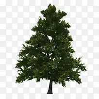 Ê¥µ®½Úʱ¿ÉÒÔÓõÄËÉÊó-¿ÕÈôÍø Ê¥µ®½Úʱ¿ÉÒÔÓõÄËÉÊó-¿ÕÈôÍø