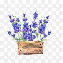 水彩画花卉-空若网 水彩画花卉-空若网