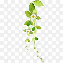 可爱唯美清新花藤小花-空若网 可爱唯美清新花藤小花-空若网