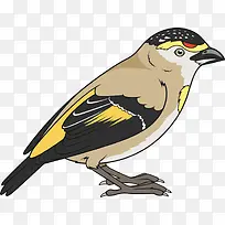 ʸ����֦�뿨ͨ�ɰ�С��-������