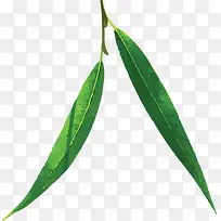 卡通柳树叶装饰图案-空若网 卡通柳树叶装饰图案-空若网