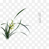 手绘花卉-空若网 手绘花卉-空若网