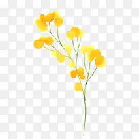 水彩绘黄色花朵树枝-空若网 水彩绘黄色花朵树枝-空若网