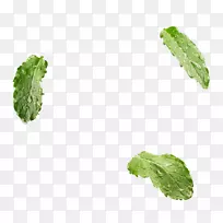 Ҷֲ��ݱ�ֲ��-����-������