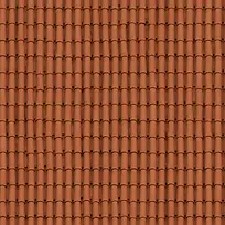 ��ɫ�����ݶ�����-������