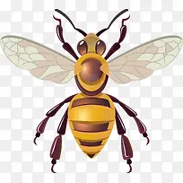 �۷�ʸ��ͼ-������