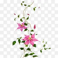 �ֻ滨��-������