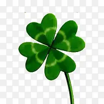 ��Ҷ��-������