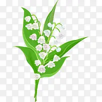 手绘铃兰花矢量图-空若网 手绘铃兰花矢量图-空若网