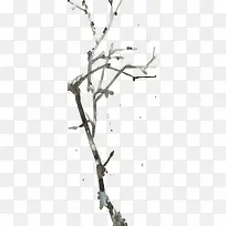 树枝-空若网 树枝-空若网