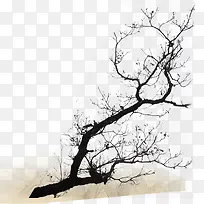 ��֦-������