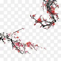 ��ɫ÷��-������