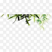 绿色树枝树叶长条形叶子-空若网 绿色树枝树叶长条形叶子-空若网