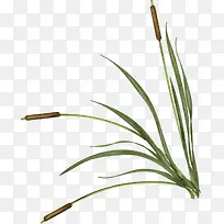 ��֦-������