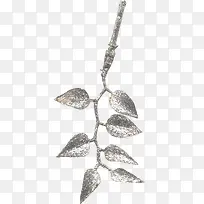 ��֦-������