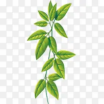 一枝树枝手绘绿叶设计元素-空若网 一枝树枝手绘绿叶设计元素-空若网