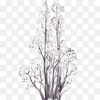 苍天大树-空若网 苍天大树-空若网