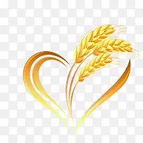 ����װ������ز�-������