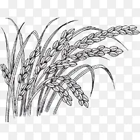 �ֻ浾��-������