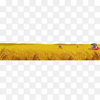 ũ�����ӵ�װ�β廭-������