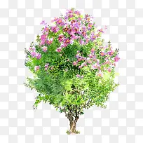 绿色树木素材手绘树木-空若网 绿色树木素材手绘树木-空若网