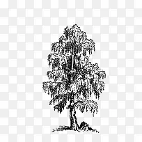 卡通简约手绘树木广告设计-空若网 卡通简约手绘树木广告设计-空若网