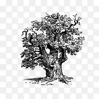 ��ͨ��Լ�ֻ���ľ������-������