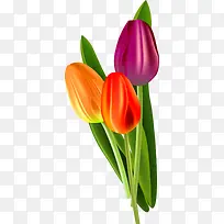 ��ů��������������-������