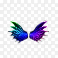 翅 膀-空若网 翅 膀-空若网