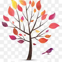 ��ɫ��-������