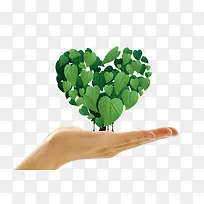 手托爱心绿叶-空若网 手托爱心绿叶-空若网