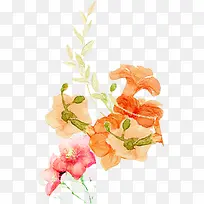 手绘橙色红色花朵-空若网 手绘橙色红色花朵-空若网