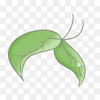 ºûµûÀ¥³æ´«·ÛÒ¶²èÒ¶-¿ÕÈôÍø ºûµûÀ¥³æ´«·ÛÒ¶²èÒ¶-¿ÕÈôÍø